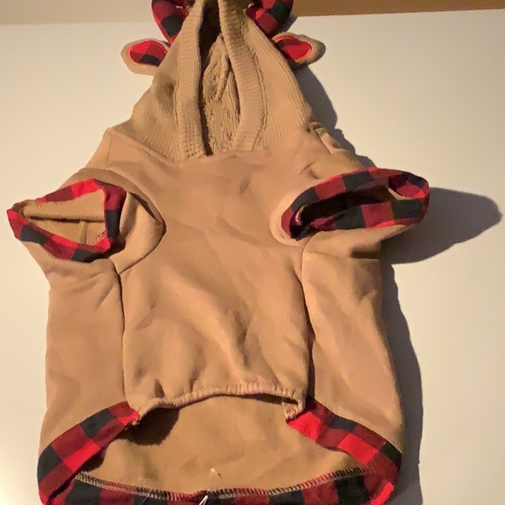 CLOTHING - Picture 5 of 16